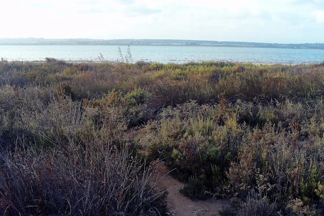 The La Mata lagoon, between Torrevieja and Guardamar