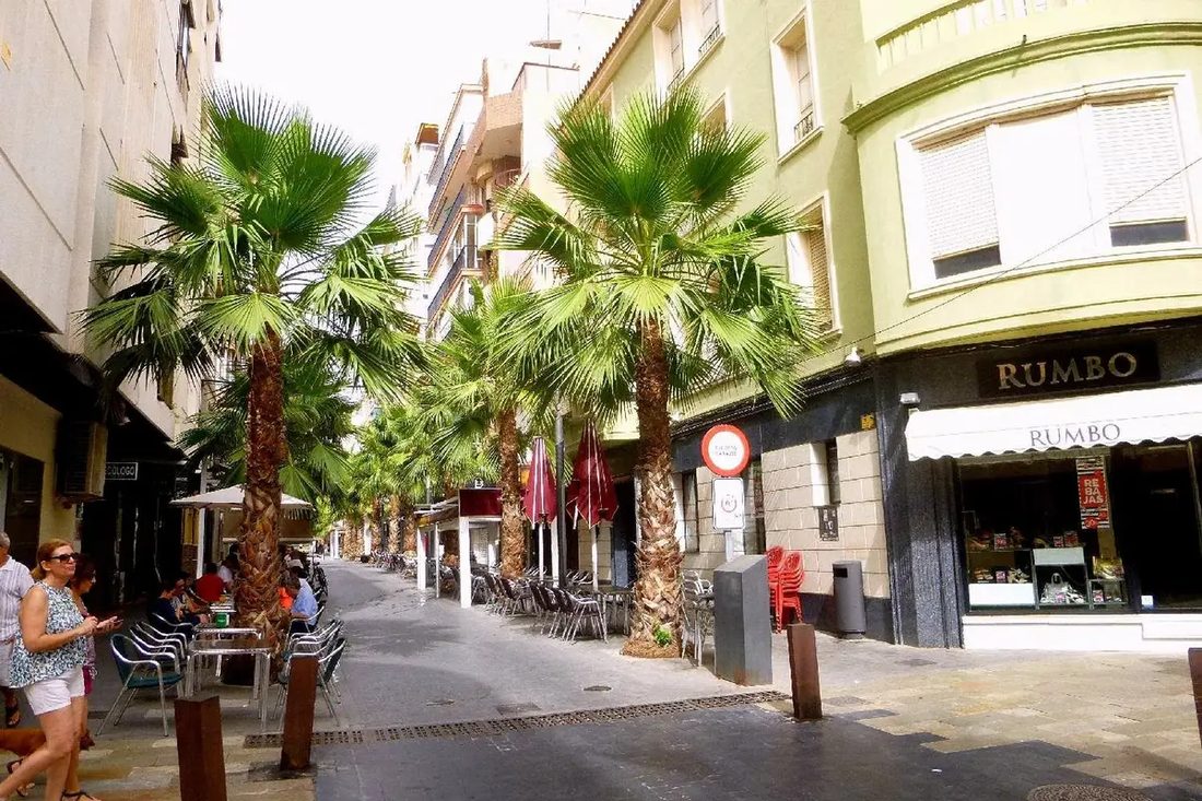 Torrevieja, a street in the centre